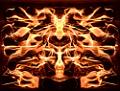 feu de bois .photomontage